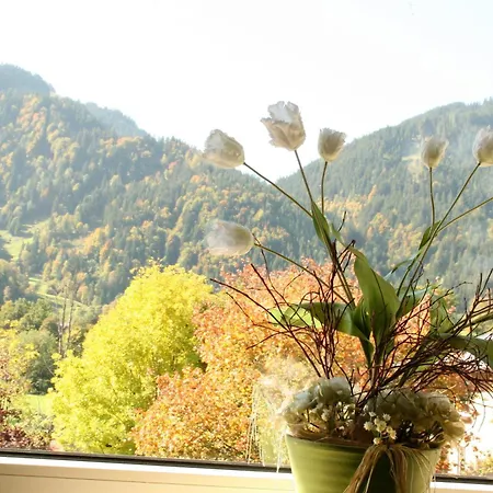 ホテル ガルニ エンシュトラッサ